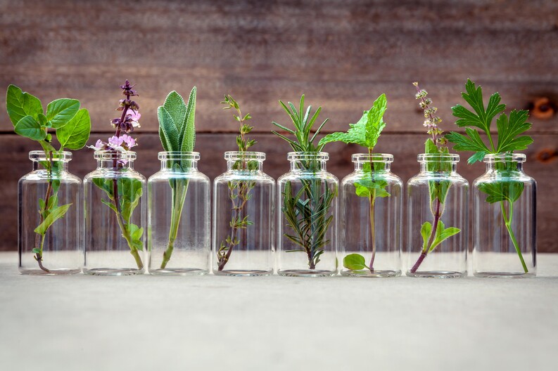 107111601 - Bottle of essential oil with herbs holy basil flower, basil flow.jpeg